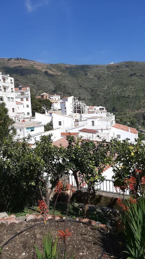 Villa Monte Polopos Exteriér fotografie